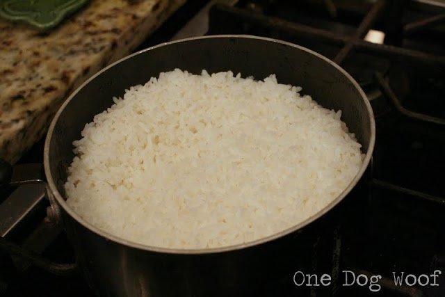 bw必威一只狗汪汪：如何使水稻