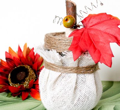 bw必威一只狗汪汪叫:梅森南瓜罐