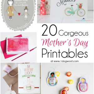 20华丽的母亲节Printables  - 礼品，标签，卡片和优惠券书籍|www.ssjjudo.com