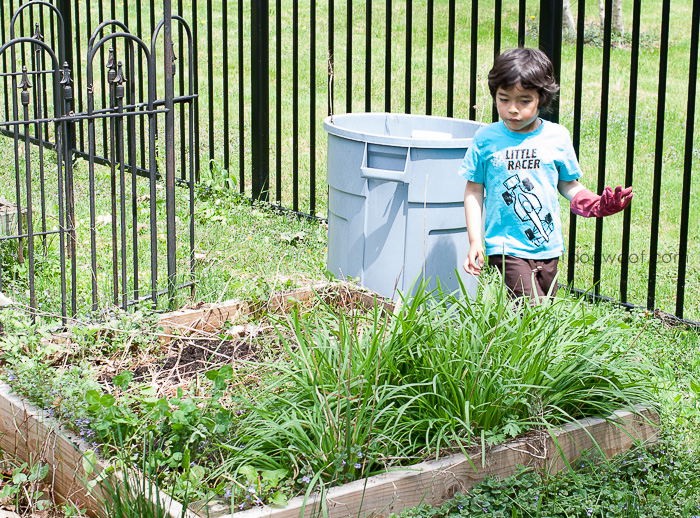 与孩子们一起做园艺的小贴士www.ssjjudo.com