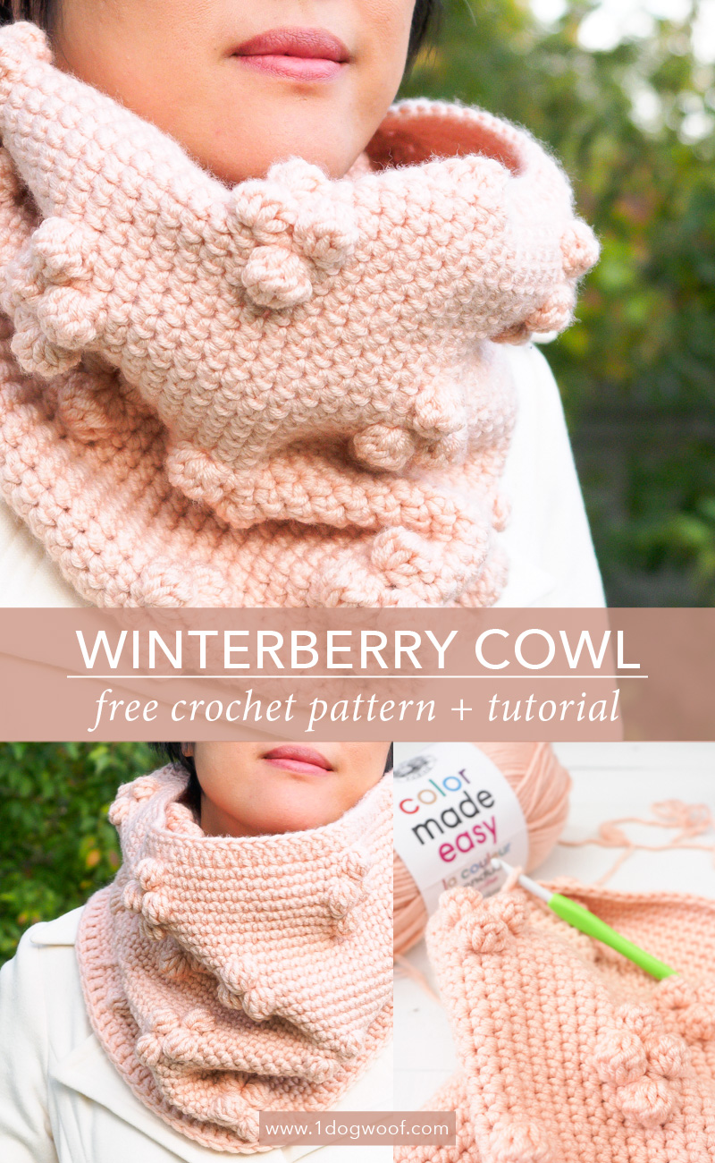 Winterberry Cowl pin图像