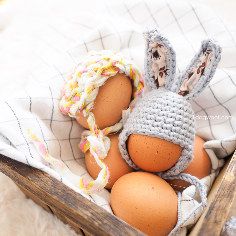 兔子帽子和帽子在鸡蛋篮子里