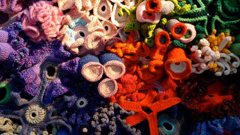 crochet coral reef from the Institute for Figuring